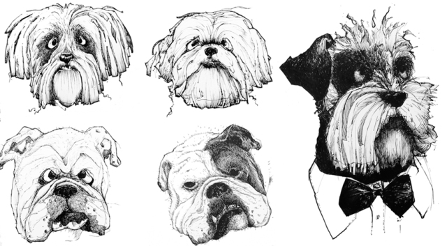 dog portraits