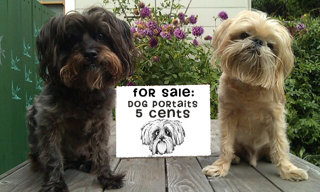dogs for sale